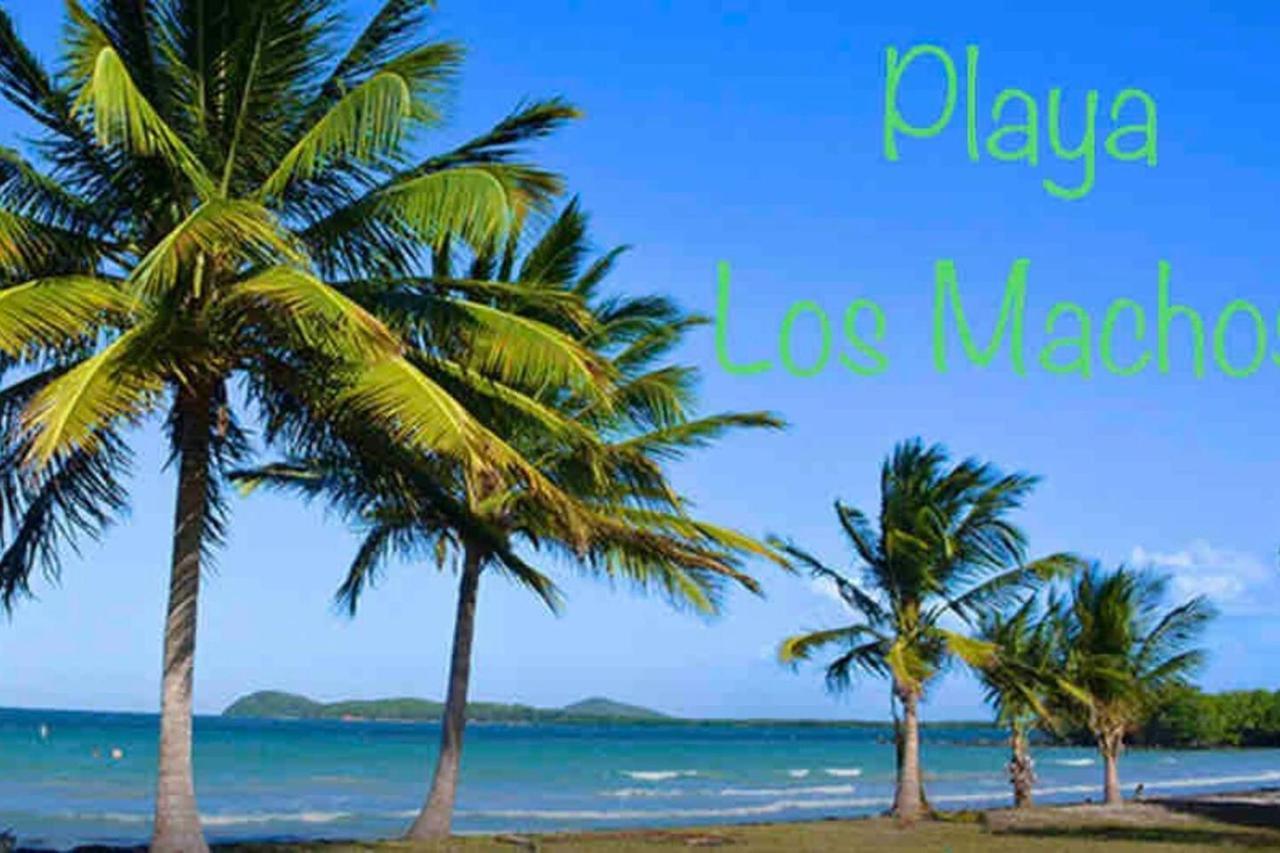 Ocean & Mountains View, Marina, Ferry, Vista Mar, Costa Esmeralda Ceiba 외부 사진