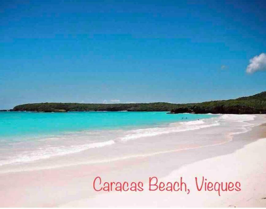 Ocean & Mountains View, Marina, Ferry, Vista Mar, Costa Esmeralda Ceiba 외부 사진